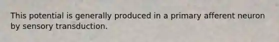 This potential is generally produced in a primary afferent neuron by sensory transduction.
