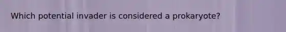 Which potential invader is considered a prokaryote?