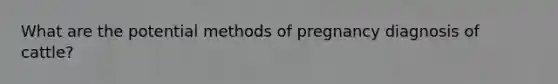 What are the potential methods of pregnancy diagnosis of cattle?