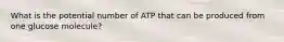 What is the potential number of ATP that can be produced from one glucose molecule?