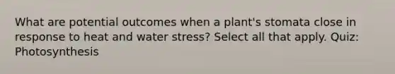 What are potential outcomes when a plant's stomata close in response to heat and water stress? Select all that apply. Quiz: Photosynthesis