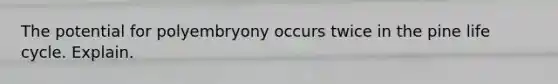 The potential for polyembryony occurs twice in the pine life cycle. Explain.