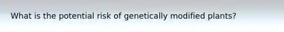 What is the potential risk of genetically modified plants?