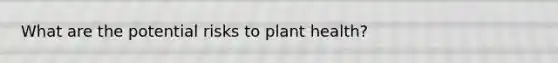 What are the potential risks to plant health?