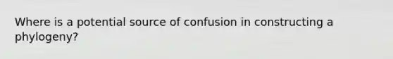 Where is a potential source of confusion in constructing a phylogeny?