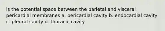 is the potential space between the parietal and visceral pericardial membranes a. pericardial cavity b. endocardial cavity c. pleural cavity d. thoracic cavity