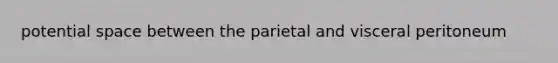 potential space between the parietal and visceral peritoneum