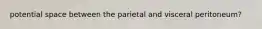 potential space between the parietal and visceral peritoneum?