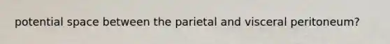 potential space between the parietal and visceral peritoneum?