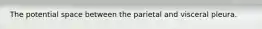 The potential space between the parietal and visceral pleura.
