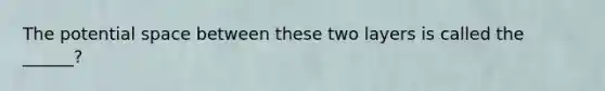 The potential space between these two layers is called the ______?