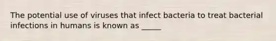 The potential use of viruses that infect bacteria to treat bacterial infections in humans is known as _____