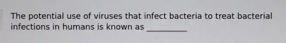 The potential use of viruses that infect bacteria to treat bacterial infections in humans is known as __________