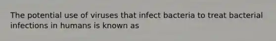 The potential use of viruses that infect bacteria to treat bacterial infections in humans is known as