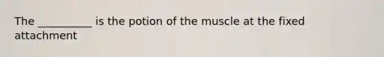 The __________ is the potion of the muscle at the fixed attachment