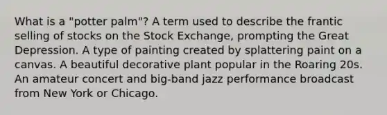 What is a "potter palm"? A term used to describe the frantic selling of stocks on the Stock Exchange, prompting the Great Depression. A type of painting created by splattering paint on a canvas. A beautiful decorative plant popular in the Roaring 20s. An amateur concert and big-band jazz performance broadcast from New York or Chicago.