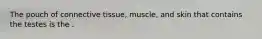 The pouch of connective tissue, muscle, and skin that contains the testes is the .