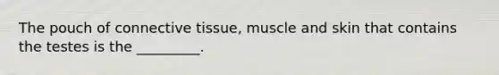 The pouch of connective tissue, muscle and skin that contains the testes is the _________.