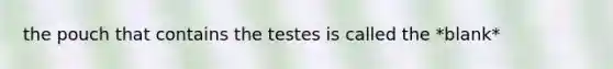 the pouch that contains the testes is called the *blank*