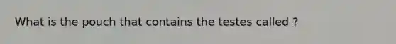 What is the pouch that contains the testes called ?