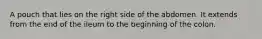 A pouch that lies on the right side of the abdomen. It extends from the end of the ileum to the beginning of the colon.