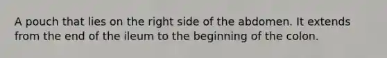 A pouch that lies on the right side of the abdomen. It extends from the end of the ileum to the beginning of the colon.