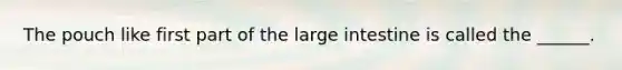 The pouch like first part of the large intestine is called the ______.