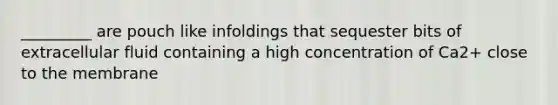 _________ are pouch like infoldings that sequester bits of extracellular fluid containing a high concentration of Ca2+ close to the membrane