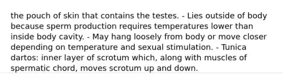 the pouch of skin that contains the testes. - Lies outside of body because sperm production requires temperatures lower than inside body cavity. - May hang loosely from body or move closer depending on temperature and sexual stimulation. - Tunica dartos: inner layer of scrotum which, along with muscles of spermatic chord, moves scrotum up and down.