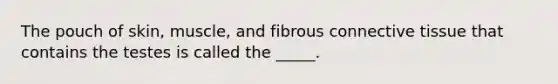 The pouch of skin, muscle, and fibrous connective tissue that contains the testes is called the _____.