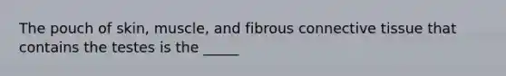 The pouch of skin, muscle, and fibrous <a href='https://www.questionai.com/knowledge/kYDr0DHyc8-connective-tissue' class='anchor-knowledge'>connective tissue</a> that contains the testes is the _____