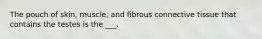 The pouch of skin, muscle, and fibrous connective tissue that contains the testes is the ___.