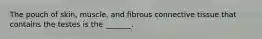 The pouch of skin, muscle, and fibrous connective tissue that contains the testes is the _______.