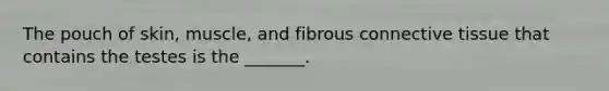 The pouch of skin, muscle, and fibrous connective tissue that contains the testes is the _______.