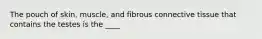 The pouch of skin, muscle, and fibrous connective tissue that contains the testes is the ____