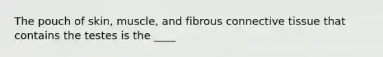 The pouch of skin, muscle, and fibrous <a href='https://www.questionai.com/knowledge/kYDr0DHyc8-connective-tissue' class='anchor-knowledge'>connective tissue</a> that contains the testes is the ____