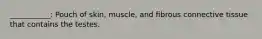 ___________: Pouch of skin, muscle, and fibrous connective tissue that contains the testes.