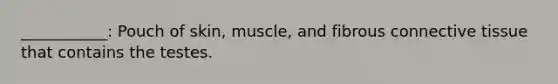 ___________: Pouch of skin, muscle, and fibrous connective tissue that contains the testes.