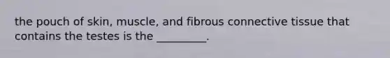 the pouch of skin, muscle, and fibrous connective tissue that contains the testes is the _________.