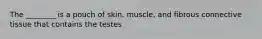 The ________ is a pouch of skin, muscle, and fibrous connective tissue that contains the testes