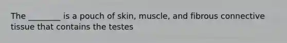 The ________ is a pouch of skin, muscle, and fibrous connective tissue that contains the testes