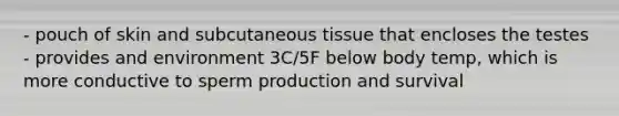 - pouch of skin and subcutaneous tissue that encloses the testes - provides and environment 3C/5F below body temp, which is more conductive to sperm production and survival