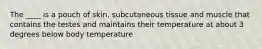 The ____ is a pouch of skin, subcutaneous tissue and muscle that contains the testes and maintains their temperature at about 3 degrees below body temperature