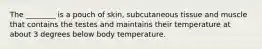 The ________ is a pouch of skin, subcutaneous tissue and muscle that contains the testes and maintains their temperature at about 3 degrees below body temperature.