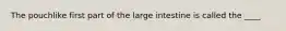 ​The pouchlike first part of the large intestine is called the ____