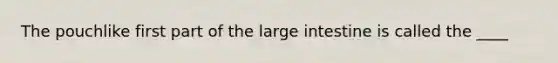 ​The pouchlike first part of the large intestine is called the ____