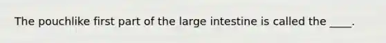 ​The pouchlike first part of the <a href='https://www.questionai.com/knowledge/kGQjby07OK-large-intestine' class='anchor-knowledge'>large intestine</a> is called the ____.