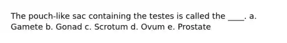 The pouch-like sac containing the testes is called the ____. a. Gamete b. Gonad c. Scrotum d. Ovum e. Prostate