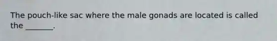 The pouch-like sac where the male gonads are located is called the _______.