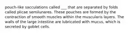 pouch-like sacculations called ___ that are separated by folds called plicae semilunares. These pouches are formed by the contraction of smooth muscles within the muscularis layers. The walls of the large intestine are lubricated with mucus, which is secreted by goblet cells.